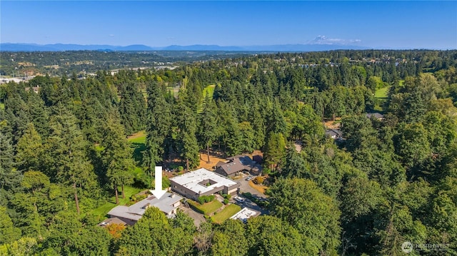 10704 Country Club Ln S, Burien, WA 98168 - photo 36