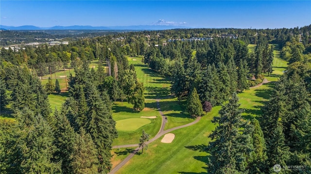 10704 Country Club Ln S, Burien, WA 98168 - photo 37