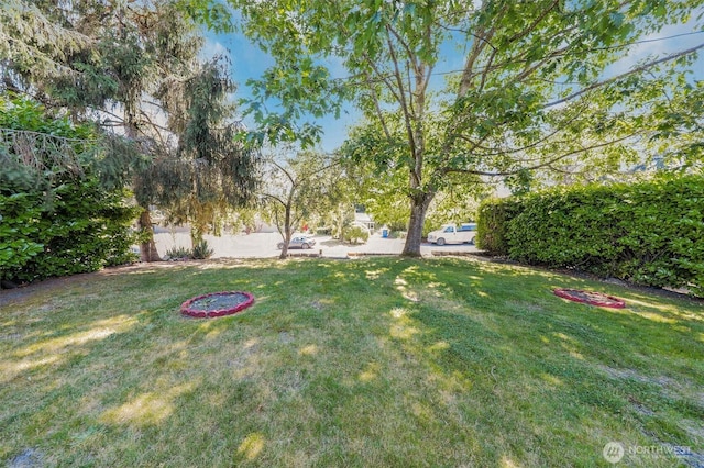 6633 193rd St SW, Lynnwood, WA 98036 - photo 3