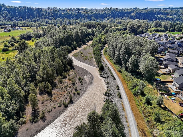 805 Louise Wise Ave NW, Orting, WA 98360 - photo 40