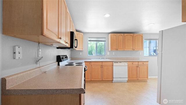 158 Williams Ave, Kelso, WA 98626 - photo 15
