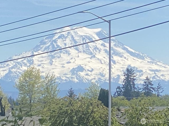 1803 176th St E, Spanaway, WA 98387 - photo 32