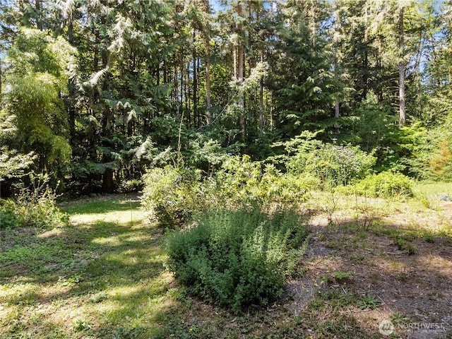 2044 Springer Hills Ln SE, Olympia, WA 98501 - photo 33