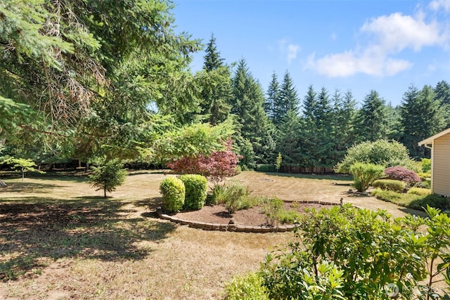 115 Peaceful Ln, Chehalis, WA 98532 - photo 4