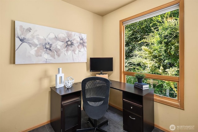 16862 SE 56th Pl, Bellevue, WA 98006 - photo 31