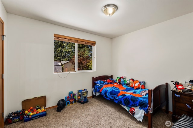 24902 54th Ave E, Graham, WA 98338 - photo 12