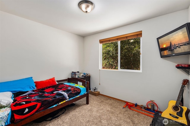 24902 54th Ave E, Graham, WA 98338 - photo 16