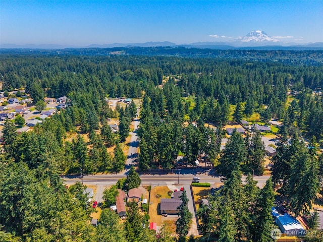 24902 54th Ave E, Graham, WA 98338 - photo 27