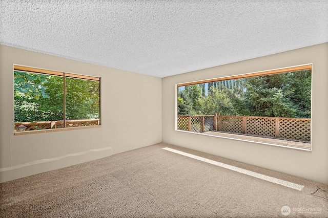 17805 SE Jones Rd, Renton, WA 98058 - photo 15