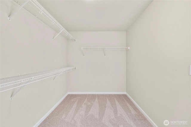 15117 272nd Pl NE, Duvall, WA 98019 - photo 26