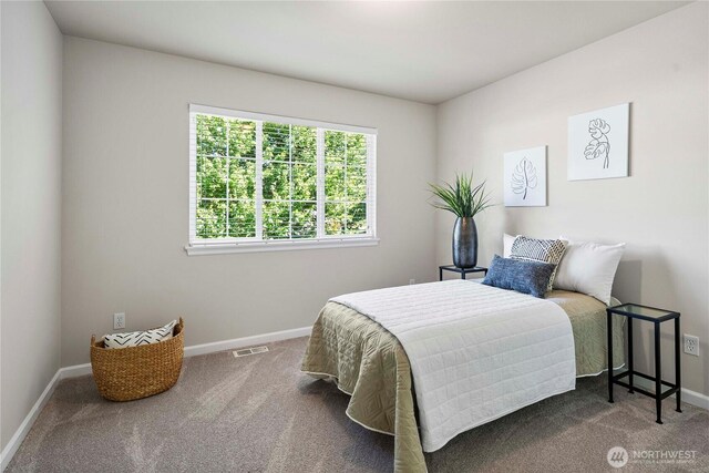 15117 272nd Pl NE, Duvall, WA 98019 - photo 31