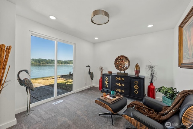 13405 Hidden Valley Dr NW, Gig Harbor, WA 98332 - photo 19