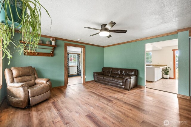 32 N Evergreen Pl, Sequim, WA 98382 - photo 4