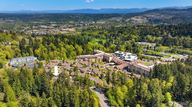 101 Shy Bear Way NW, Issaquah, WA 98027 - photo 40