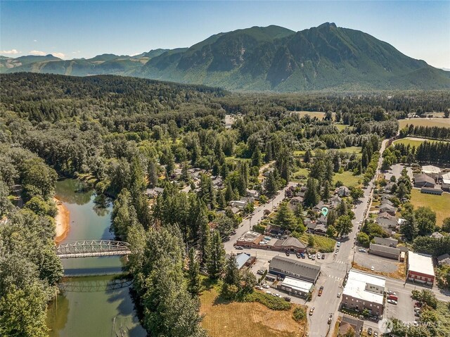 39622 SE Park St, Snoqualmie, WA 98065 - photo 34