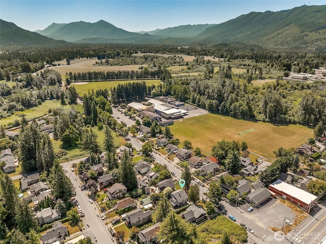 39622 SE Park St, Snoqualmie, WA 98065 - photo 35