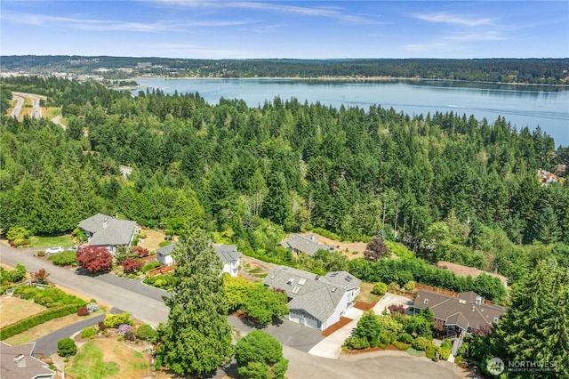 7306 Lone Eagle Pl NW, Bremerton, WA 98312 - photo 38