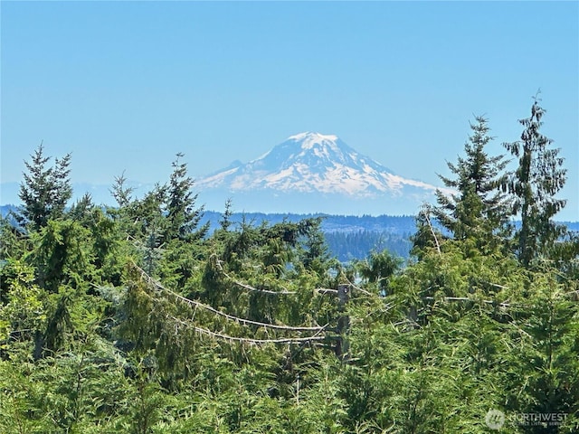 7306 Lone Eagle Pl NW, Bremerton, WA 98312 - photo 4