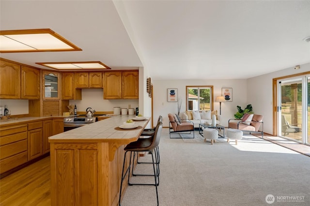 16432 91st Ave NE, Arlington, WA 98223 - photo 6
