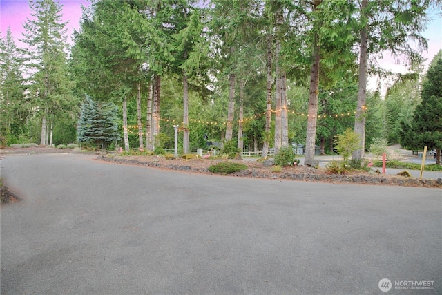 351N Fairway Dr W, Hoodsport, WA 98548 - photo 26