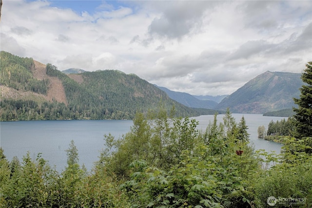 351N Fairway Dr W, Hoodsport, WA 98548 - photo 32