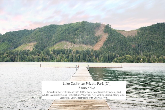 351N Fairway Dr W, Hoodsport, WA 98548 - photo 38