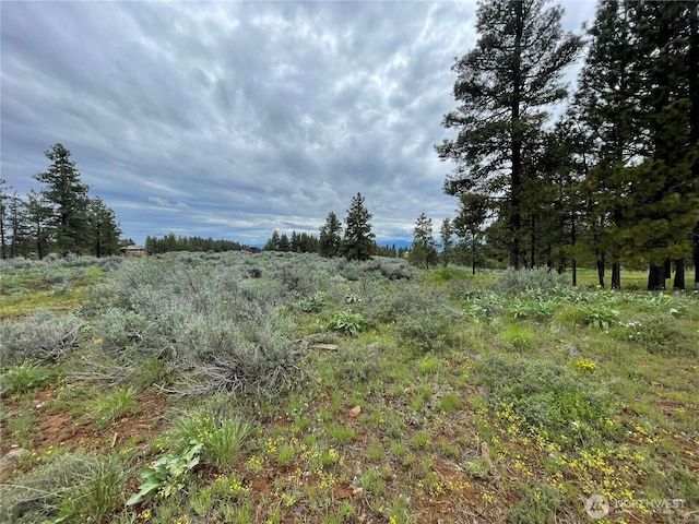 114 Falcon Ridge Rd, East Wenatchee, WA 98802 - photo 6