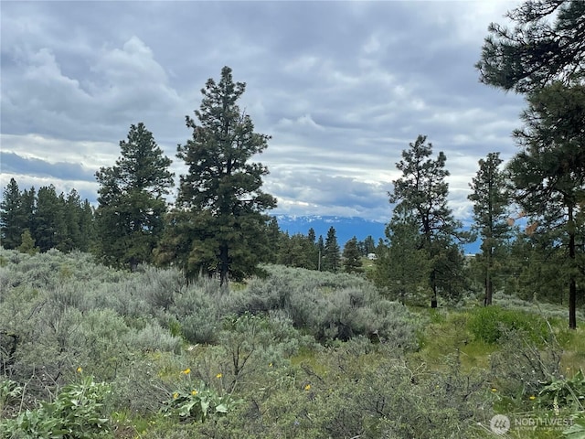 114 Falcon Ridge Rd, East Wenatchee, WA 98802 - photo 7
