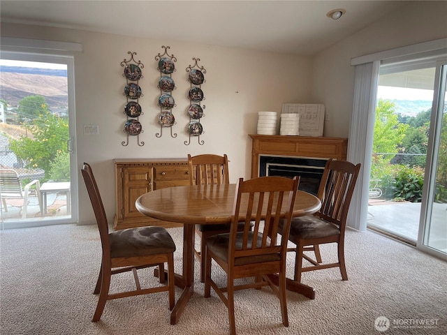 584 Canyon Dr, East Wenatchee, WA 98802 - photo 19
