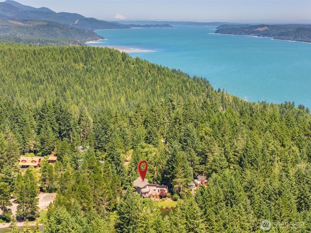 61 N Picnic Dr, Lilliwaup, WA 98555 - photo 4