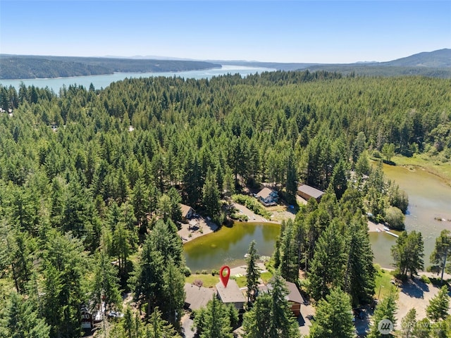 61 N Picnic Dr, Lilliwaup, WA 98555 - photo 7