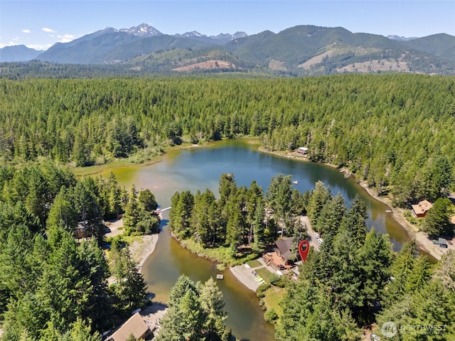 61 N Picnic Dr, Lilliwaup, WA 98555 - photo 8
