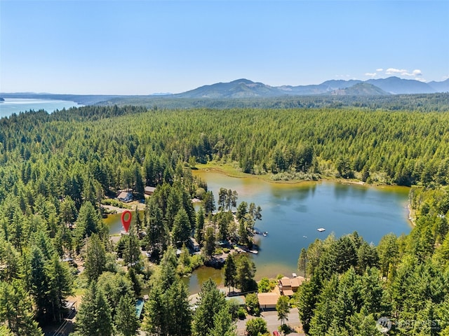 61 N Picnic Dr, Lilliwaup, WA 98555 - photo 9