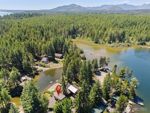 61 N Picnic Dr, Lilliwaup, WA 98555 - photo 36
