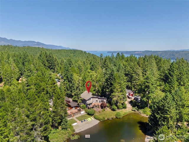 61 N Picnic Dr, Lilliwaup, WA 98555 - photo 37