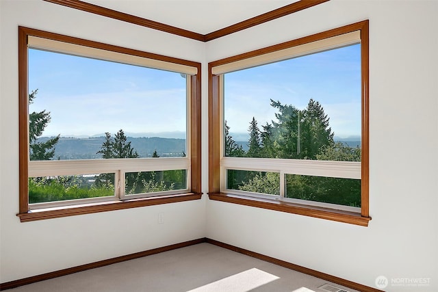 5101 131st Avenue Ct E, Edgewood, WA 98372 - photo 21