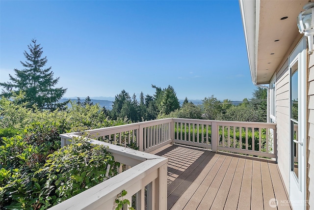 5101 131st Avenue Ct E, Edgewood, WA 98372 - photo 32
