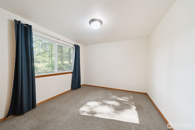 220 Tangen Rd, Woodland, WA 98674 - photo 24