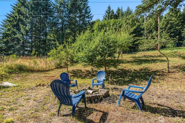 220 Tangen Rd, Woodland, WA 98674 - photo 29