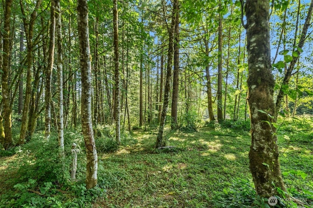 220 Tangen Rd, Woodland, WA 98674 - photo 34
