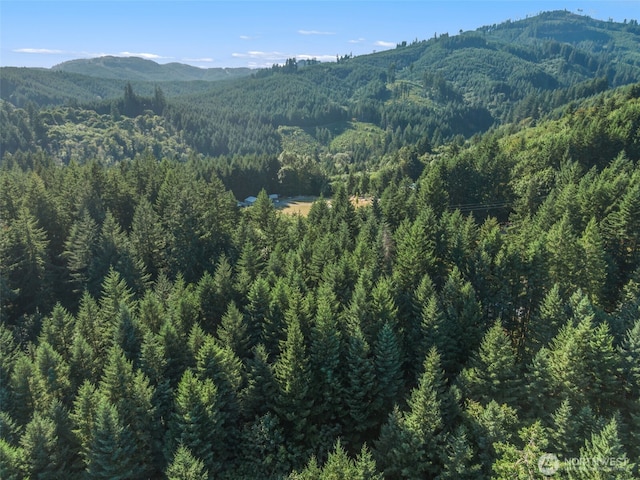 220 Tangen Rd, Woodland, WA 98674 - photo 35