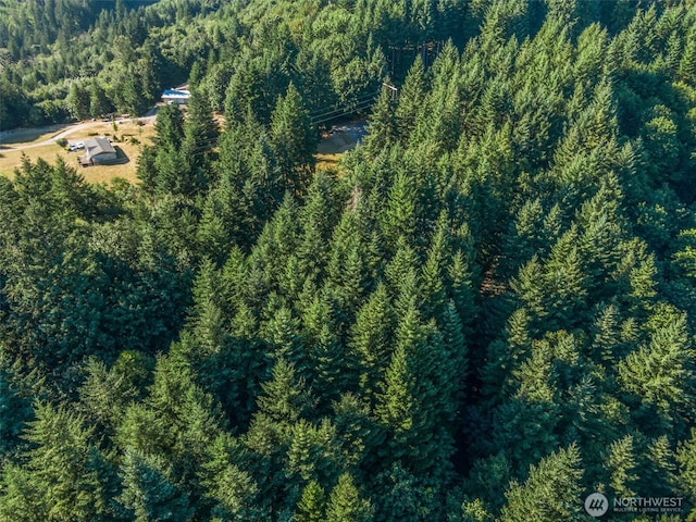 220 Tangen Rd, Woodland, WA 98674 - photo 36