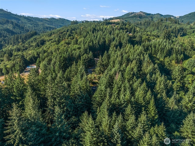 220 Tangen Rd, Woodland, WA 98674 - photo 37