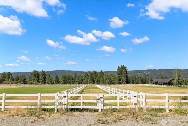 522 Pine Ridge Ln, Cle Elum, WA 98922 - photo 23