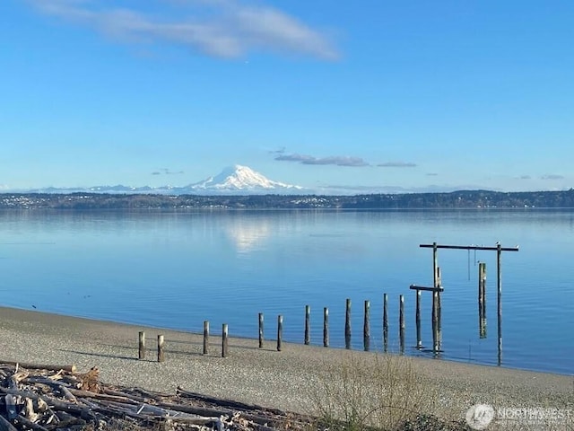 25806 75th Ave SW, Vashon, WA 98070 - photo 34