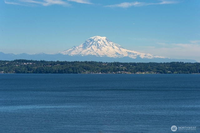 25806 75th Ave SW, Vashon, WA 98070 - photo 35