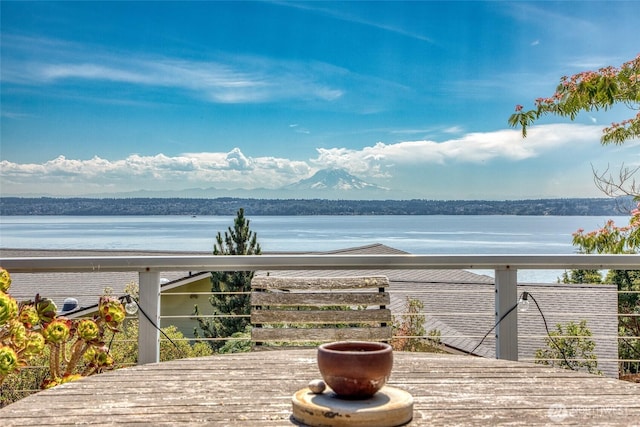 25806 75th Ave SW, Vashon, WA 98070 - photo 29