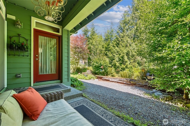 24256 NE Vine Maple Way, Redmond, WA 98053 - photo 24