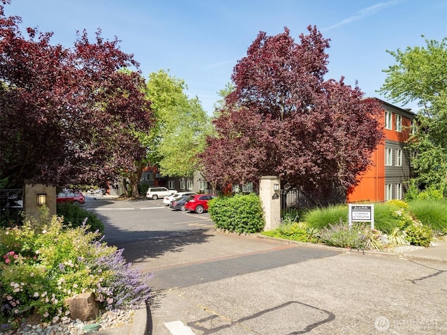 7001 Sand Point Way NE Unit B410, Seattle, WA 98115 - photo 28