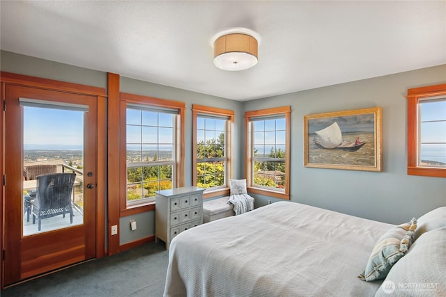 12 Hawks Way, Sequim, WA 98382 - photo 28